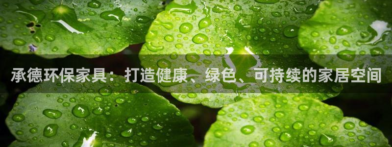 杏耀线路5检测
