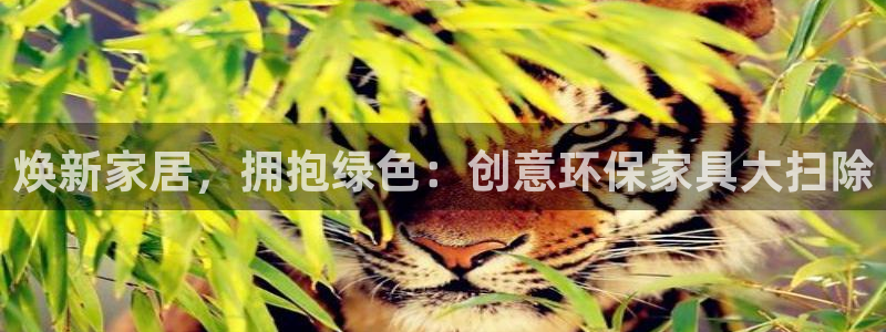 杏耀平台在哪里