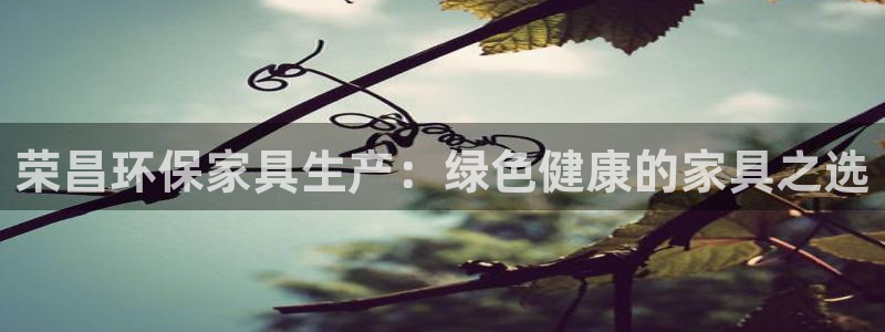 杏耀代理官网