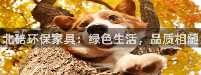 杏耀代理日工资多少