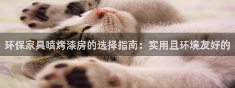 杏耀注册开户：环保家具喷烤漆房的选择指南：实用且环境友好的