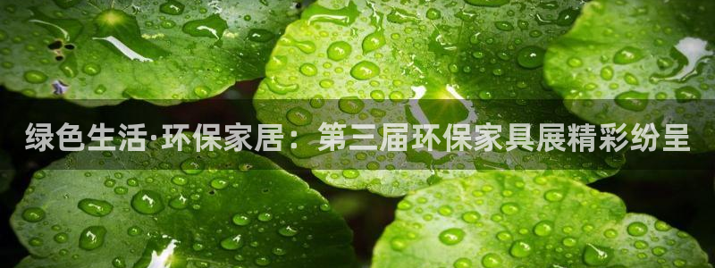 杏耀注册登录：绿色生活·环保家居：第三届环保家具展精彩纷呈