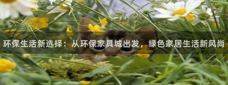 杏耀官网注册：环保生活新选择：从环保家具城出发，绿色家居生活