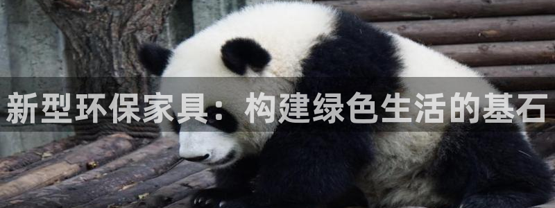 杏耀平台注册入口：新型环保家具：构建绿色生活的基石
