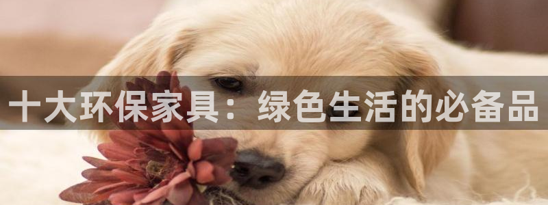 杏耀注册线路：十大环保家具：绿色生活的必备品