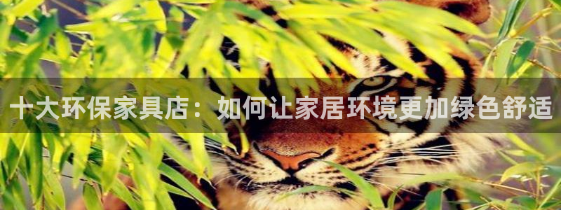 杏耀平台官方登陆：十大环保家具店：如何让家居环境更加绿色舒适