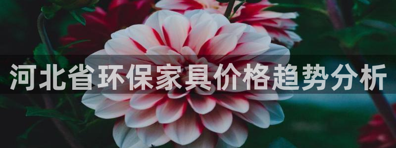 杏耀官方网：河北省环保家具价格趋势分析